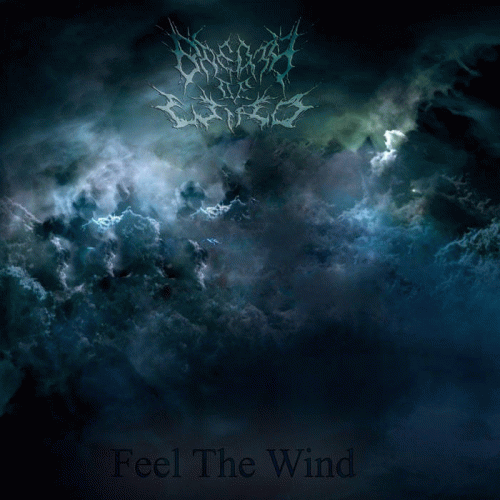 Feel the Wind